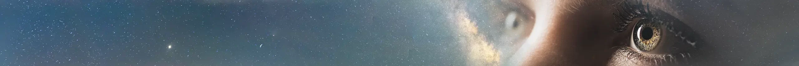 Vision and Mission Vision and Mission