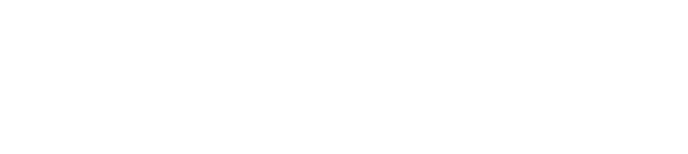 Logo Positronic