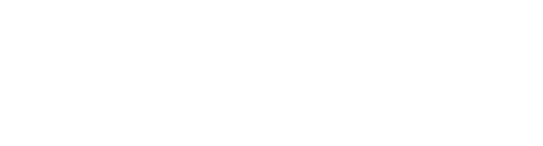 Logo - Sensitron